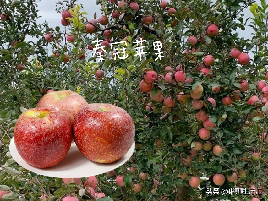 每天认识一种美食,每天认识一种食品