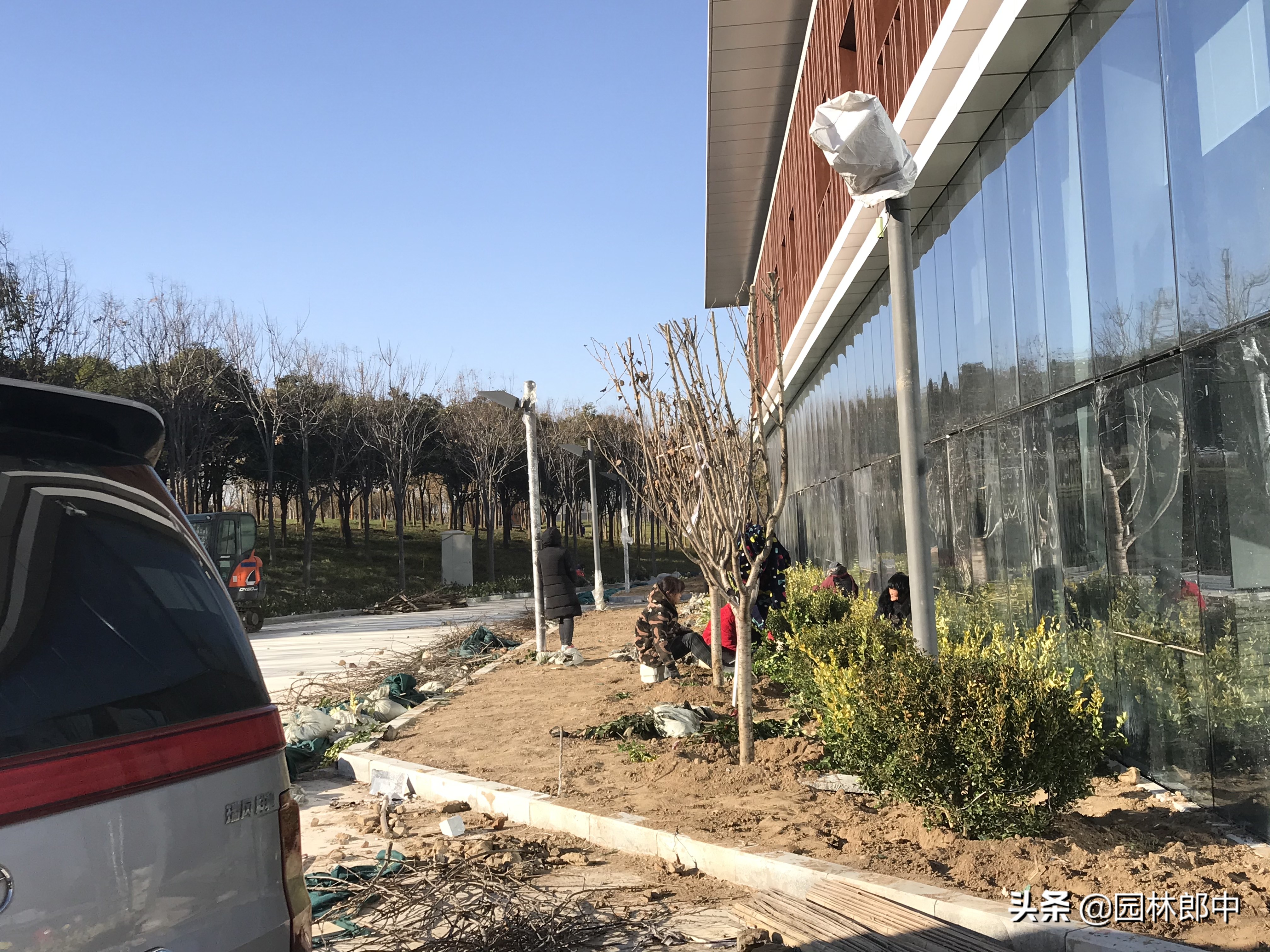 巧用除草剂,绿篱的杂草用哪种除草剂