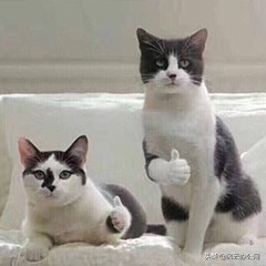 kux格式怎么转换为mp4格式,kux格式怎么免费转换成mp4