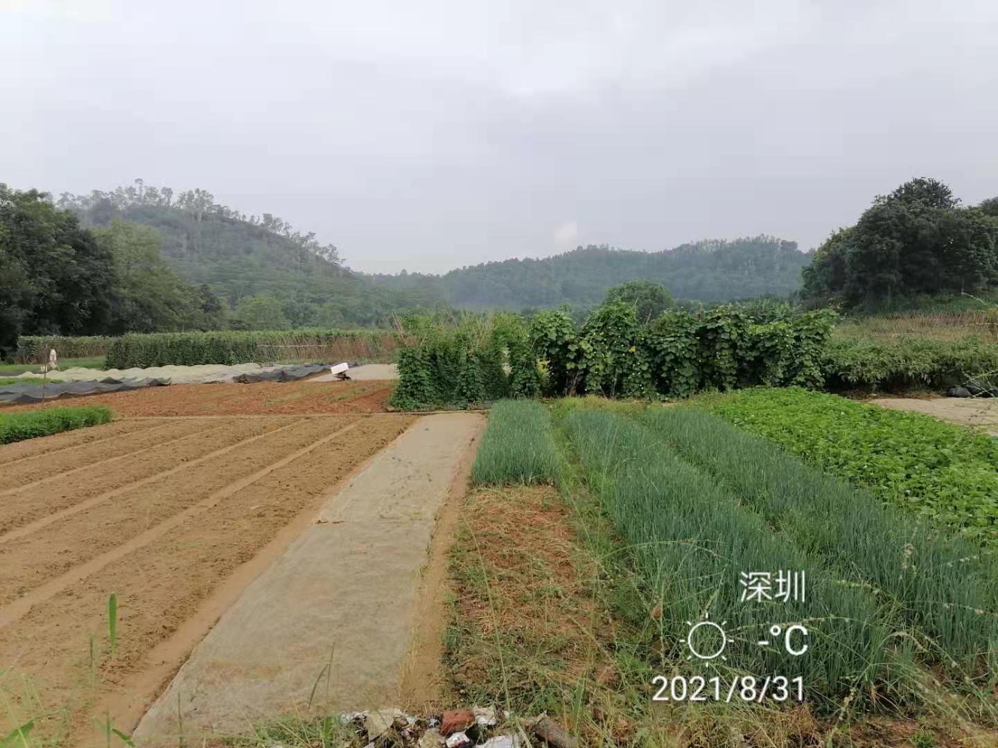 信用卡逾期父亲的儿子承担吗,网贷信用卡逾期后被催收