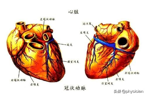 冠心病造影不严重的话怎么治疗,冠心病造影难受吗