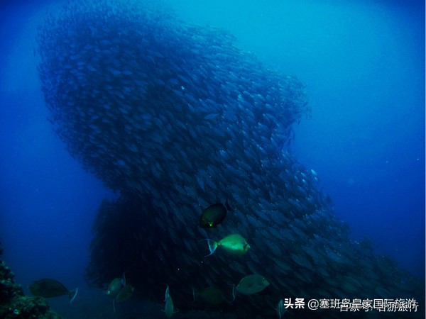 塞班岛7天游费用,塞班岛五日游路线