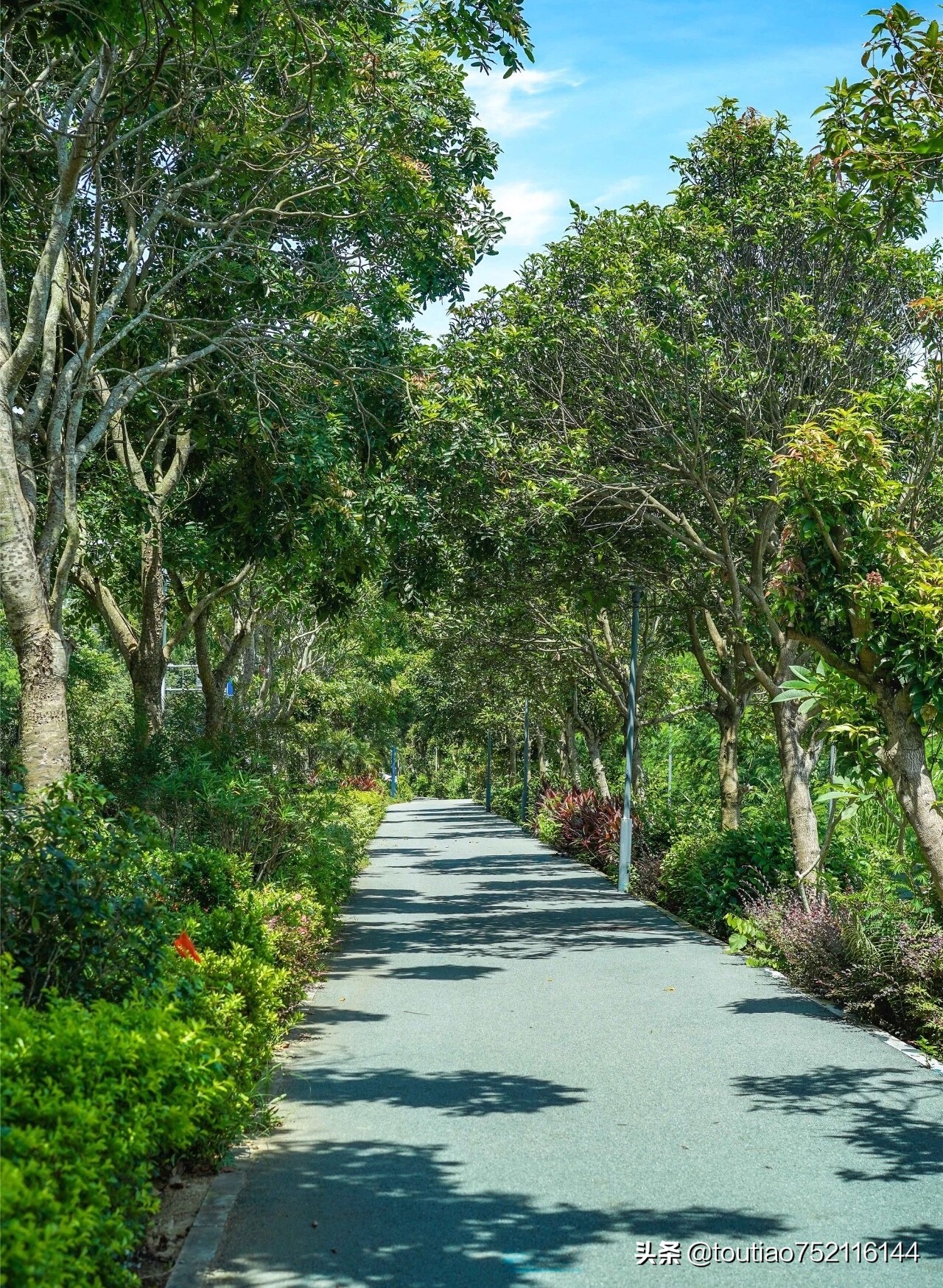 深圳市最美的沙滩,深圳最美的野沙滩