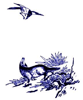 中国民间传统纸牌图案,中国民间传统图案