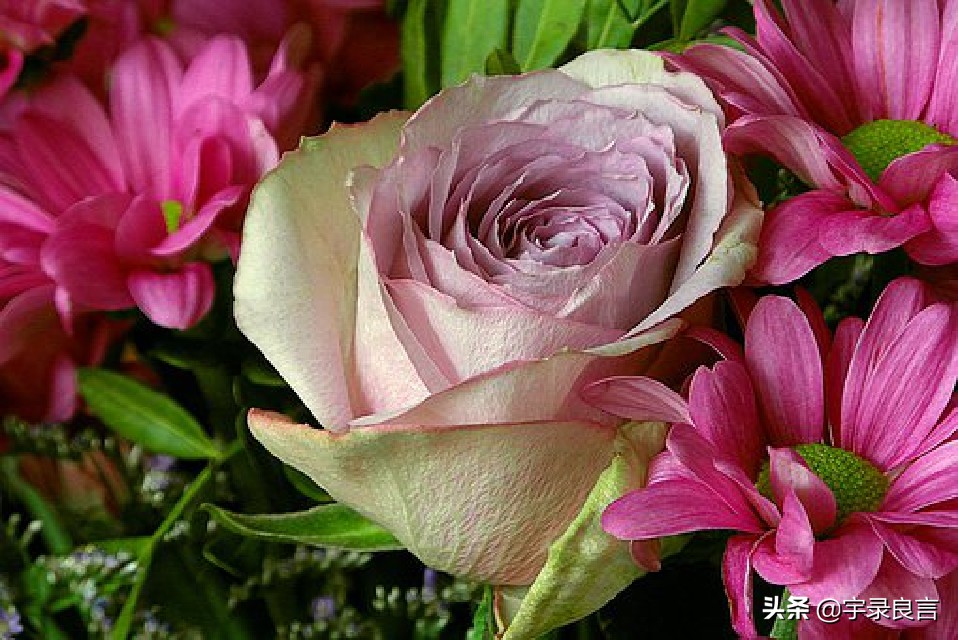 鼠年吉祥万事顺意身体健康,祝所有人鼠年万事顺利