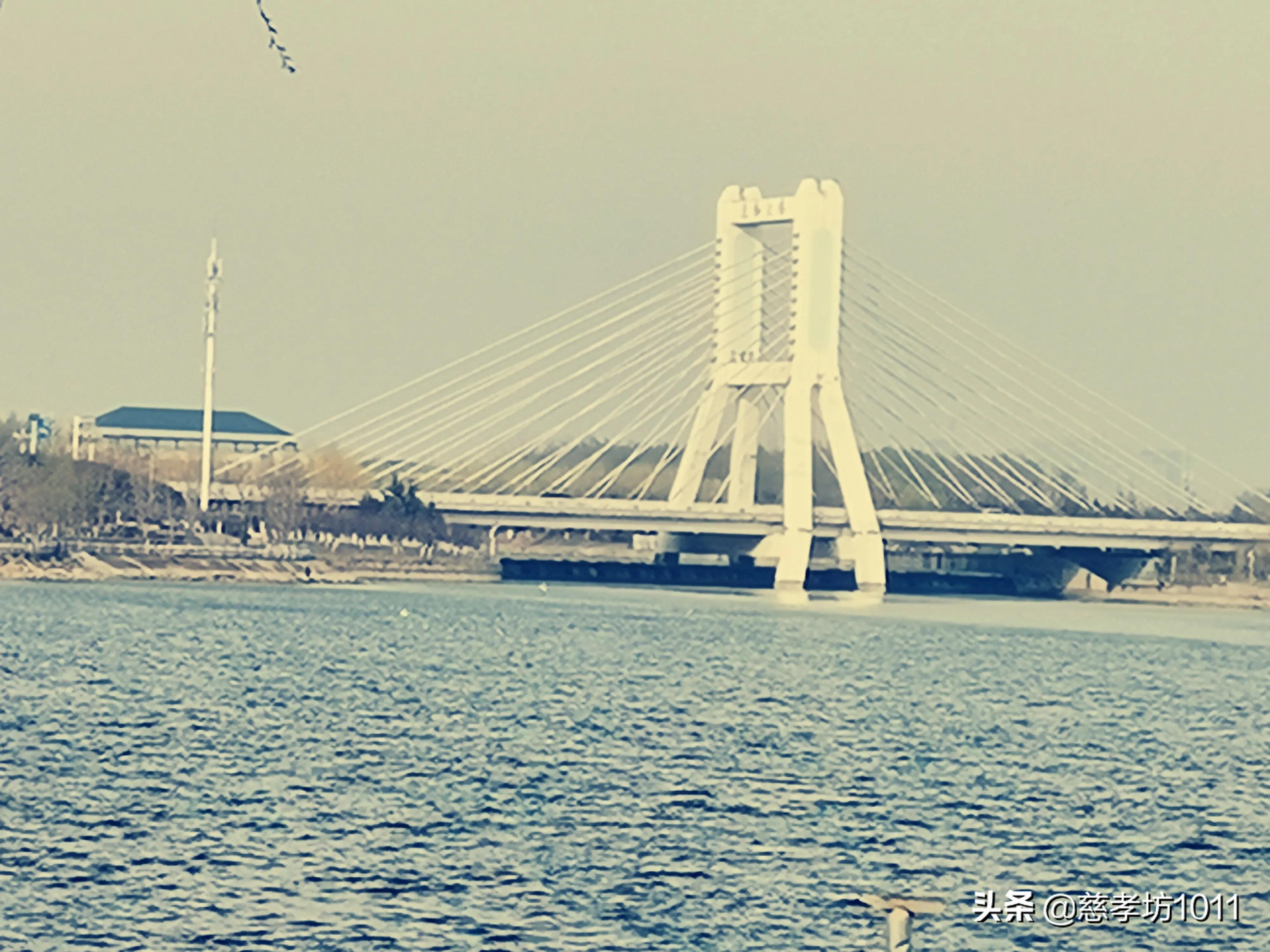 临沂旅游夜景景点大全,临沂元宵节夜景震撼视频