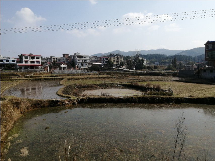 在台企上班体验,5年前拿着3千块钱的工资,现在的你收入过万了吗