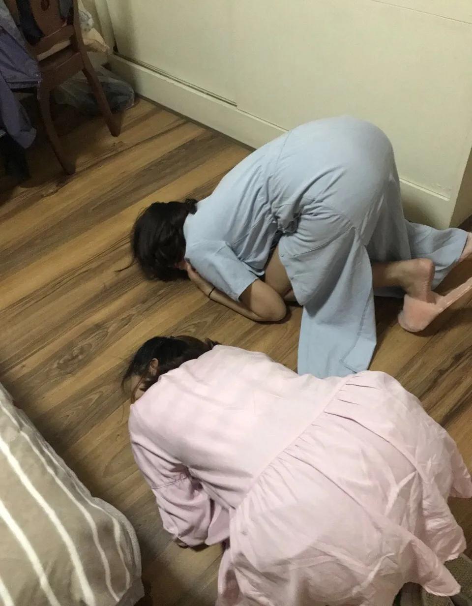 卑微的两脚兽，欢迎来到喵星人的世界