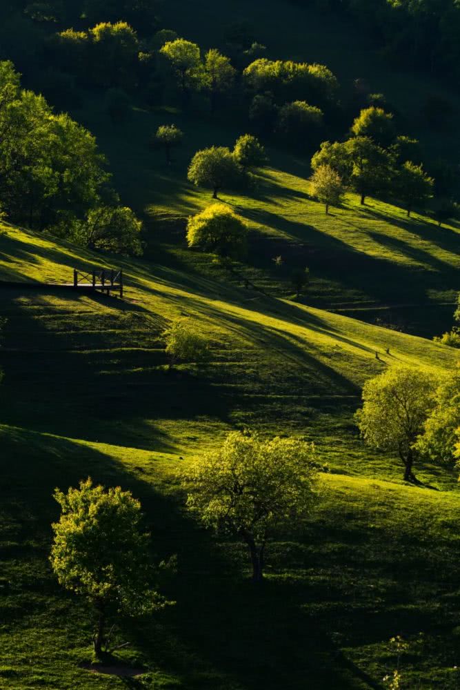 陕西宝鸡，一个特别适合“逆风翻盘”的地方
