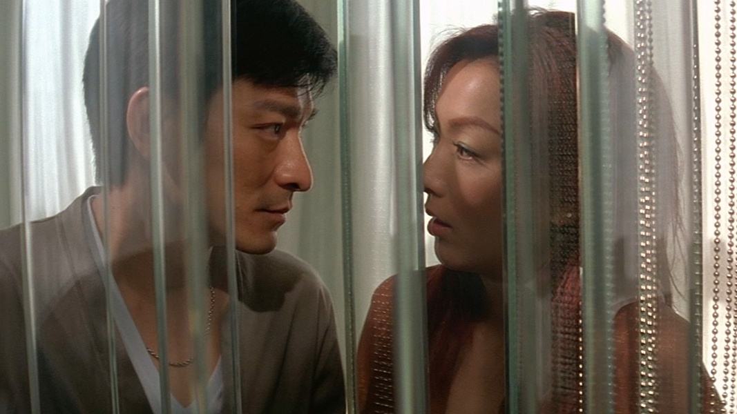 刘德华郑秀文演的电影,刘德华郑秀文孤男寡女歌曲