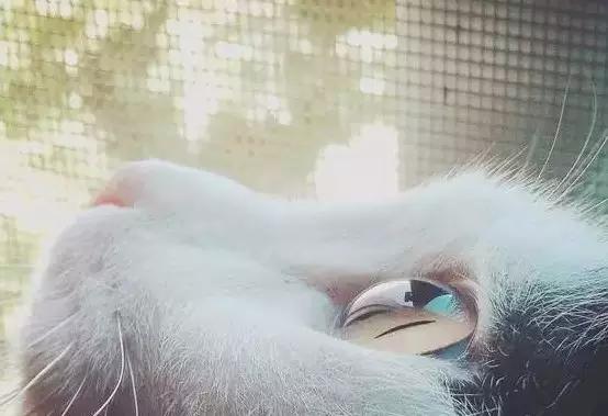 苹果手机摄影基础知识入门,手机摄影参数基础知识