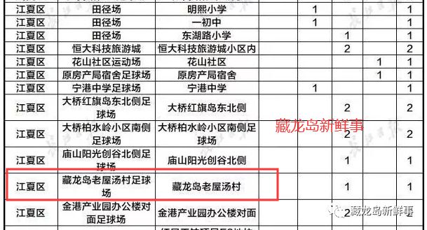 武汉江夏藏龙岛最新消息,藏龙岛管委会体育公园足球场