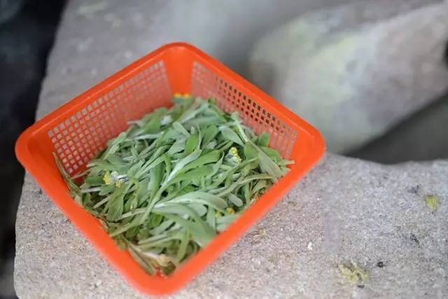 哪里的青团最正宗,青团哪个牌子最好吃