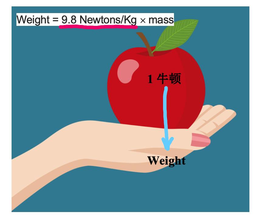 一牛顿的力大概有多少,1牛顿的力有多大