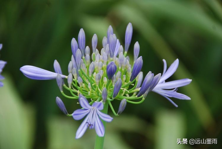 植物科学活动,第二十届公众科学日合肥