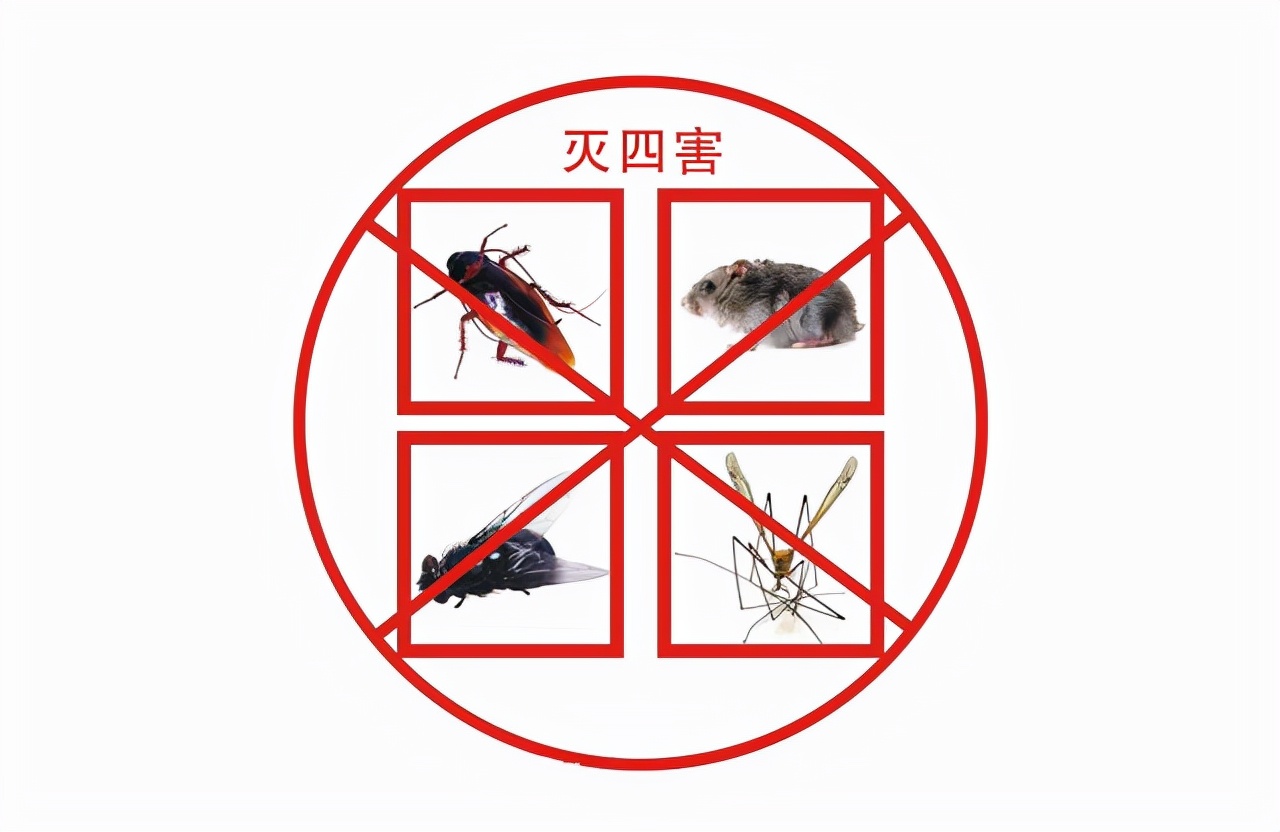 对人无毒的壁虎为何是五毒之一,人畜无害的壁虎为什么无毒