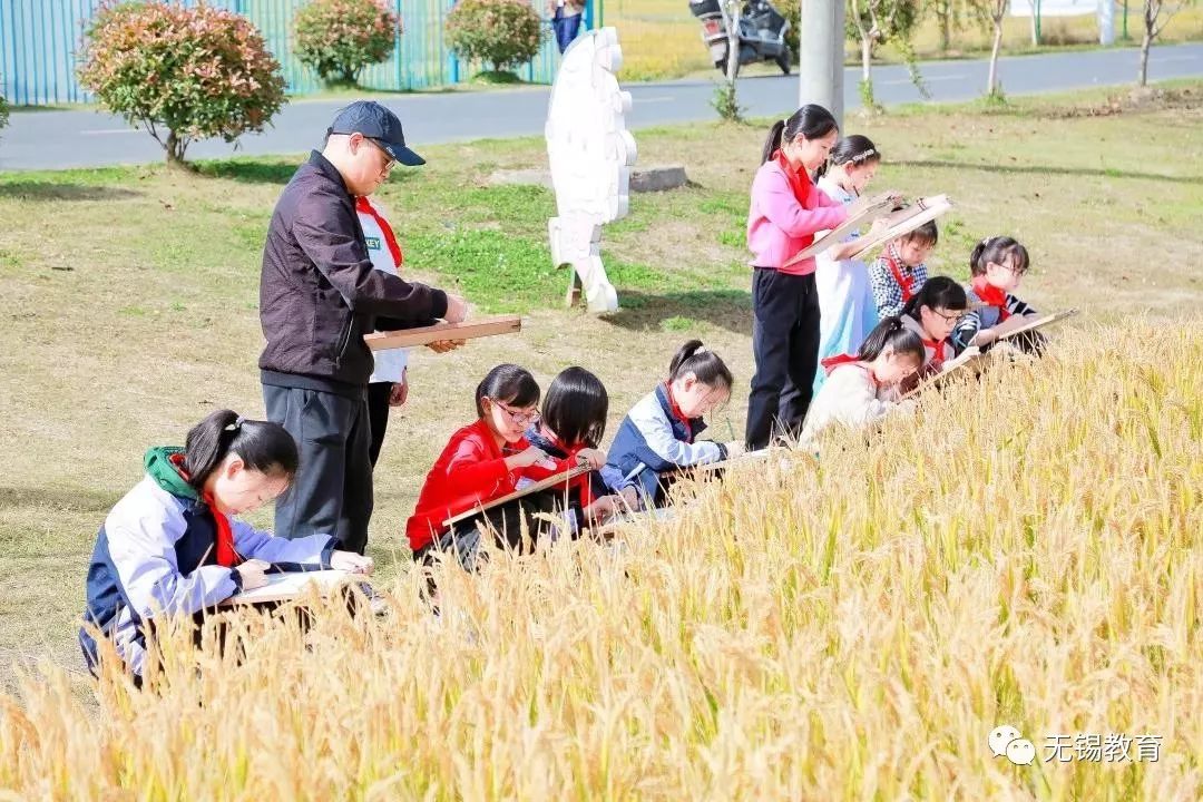 翻地、播种…无锡老小将课堂搬到了田间地头
