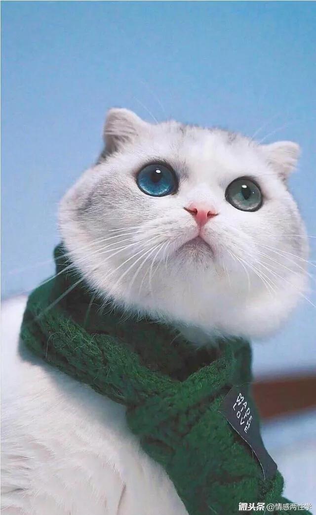 因果报应来的挺快的,不信,你看…