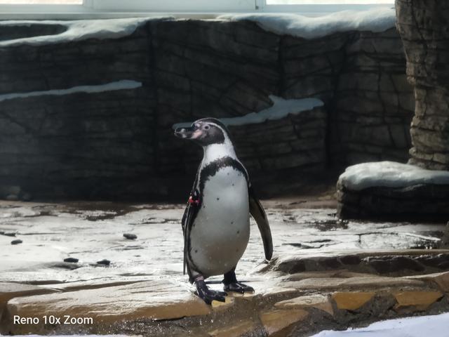 opporeno10倍变焦版使用体验,opporeno10倍变焦版上手体验