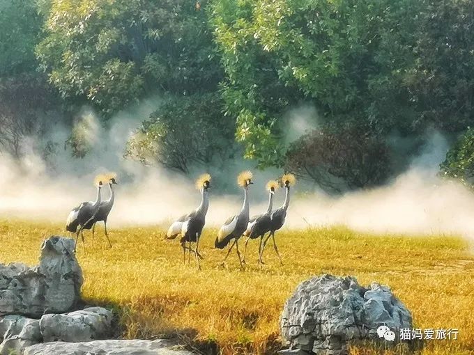 齐河附近带孩子自驾游景点,周边亲子游齐河