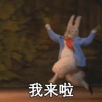 表情包怎么发不出去了,一周拉不出屎猫咪表情包