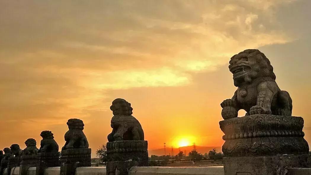 美洲狮在热带雨林,美洲狮在热带雨林会留下什么踪迹