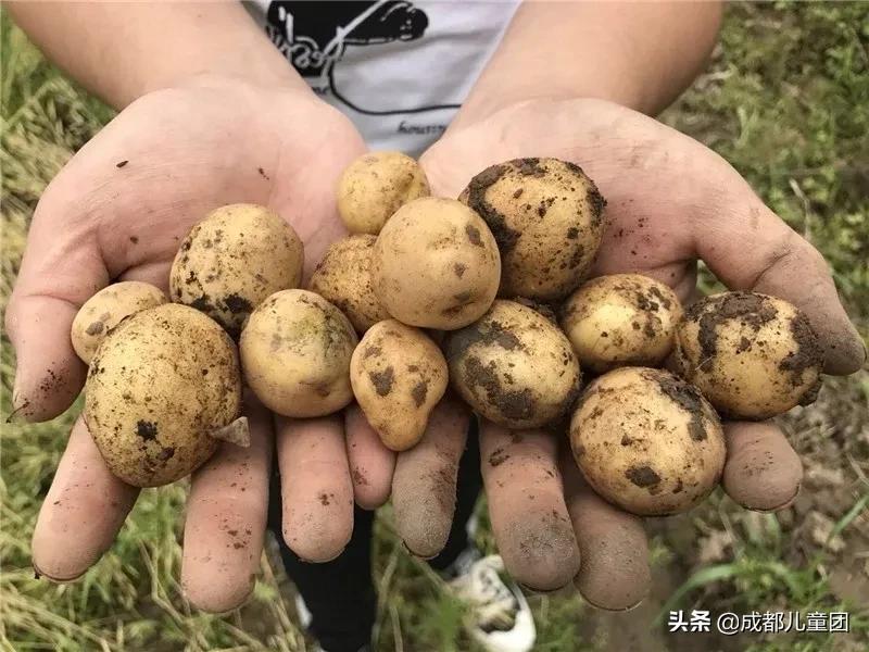 土地四季·禾下乘凉丨给孩子的大地课堂,在自然中自然生长
