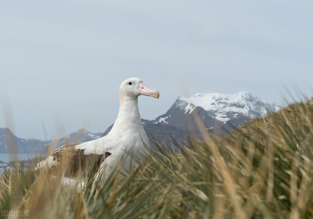 迪奥背后的文化,迪奥品牌背后的唯美故事