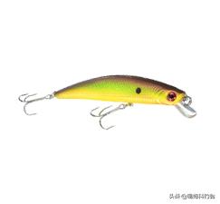 北美钓鱼入门技巧,加拿大钓鱼什么鱼饵最好