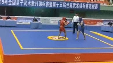 散打核心是什么,散打简短简介