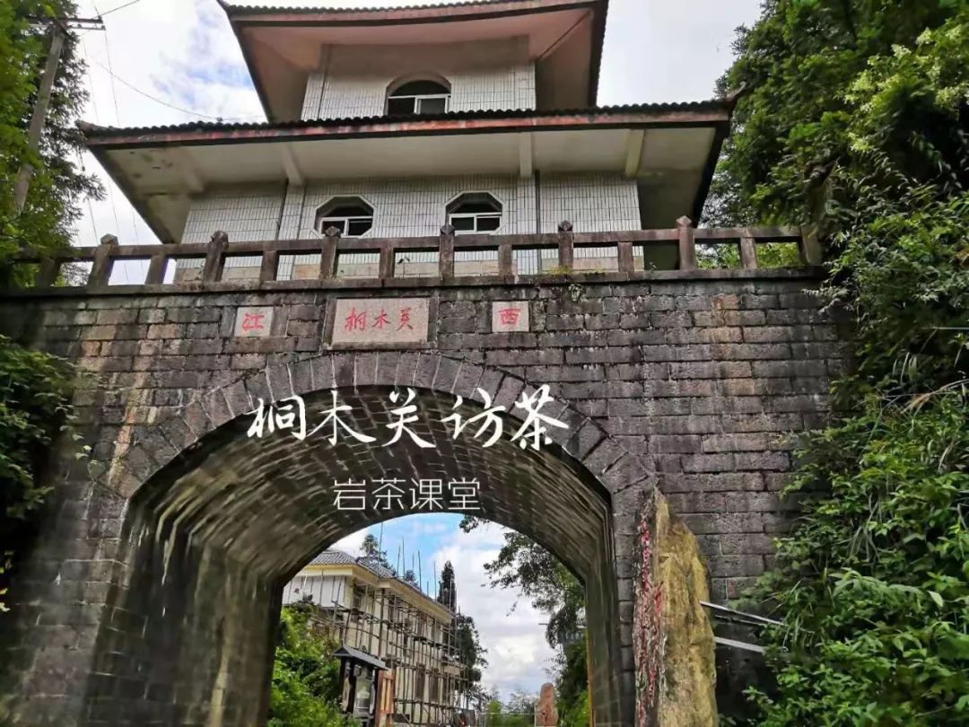 正宗金骏眉是什么样子,金骏眉都什么样