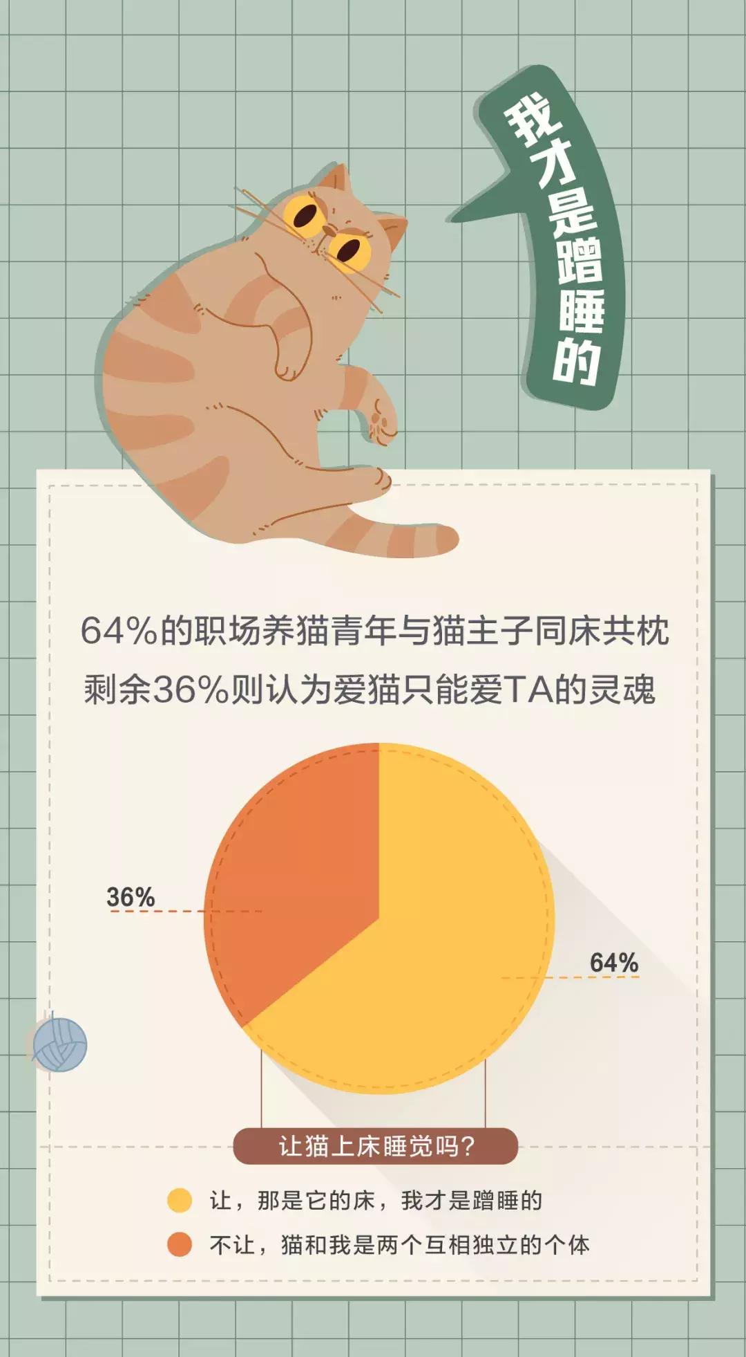 老板比猫还难搞定?最新职场青年吸猫不完全调查出炉