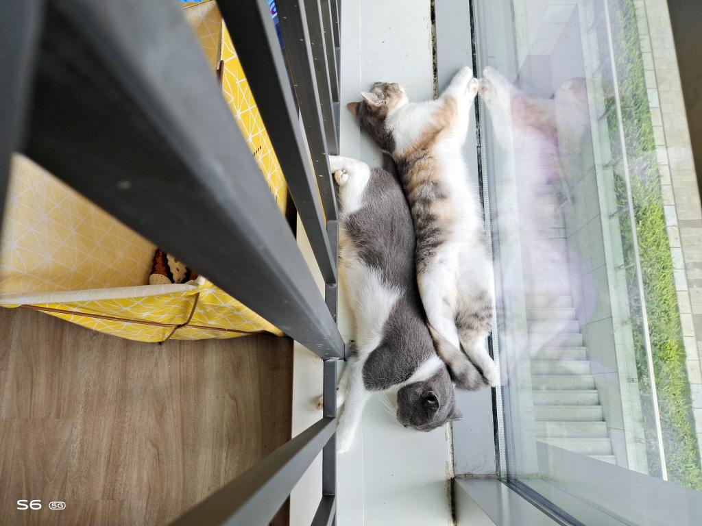 小扎测评|vivoS6：拍照时握在手里的小确幸