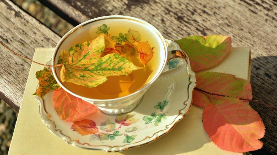 脸上有斑脏腑有瘀中医教你巧化斑,脸上起斑中医如何调理