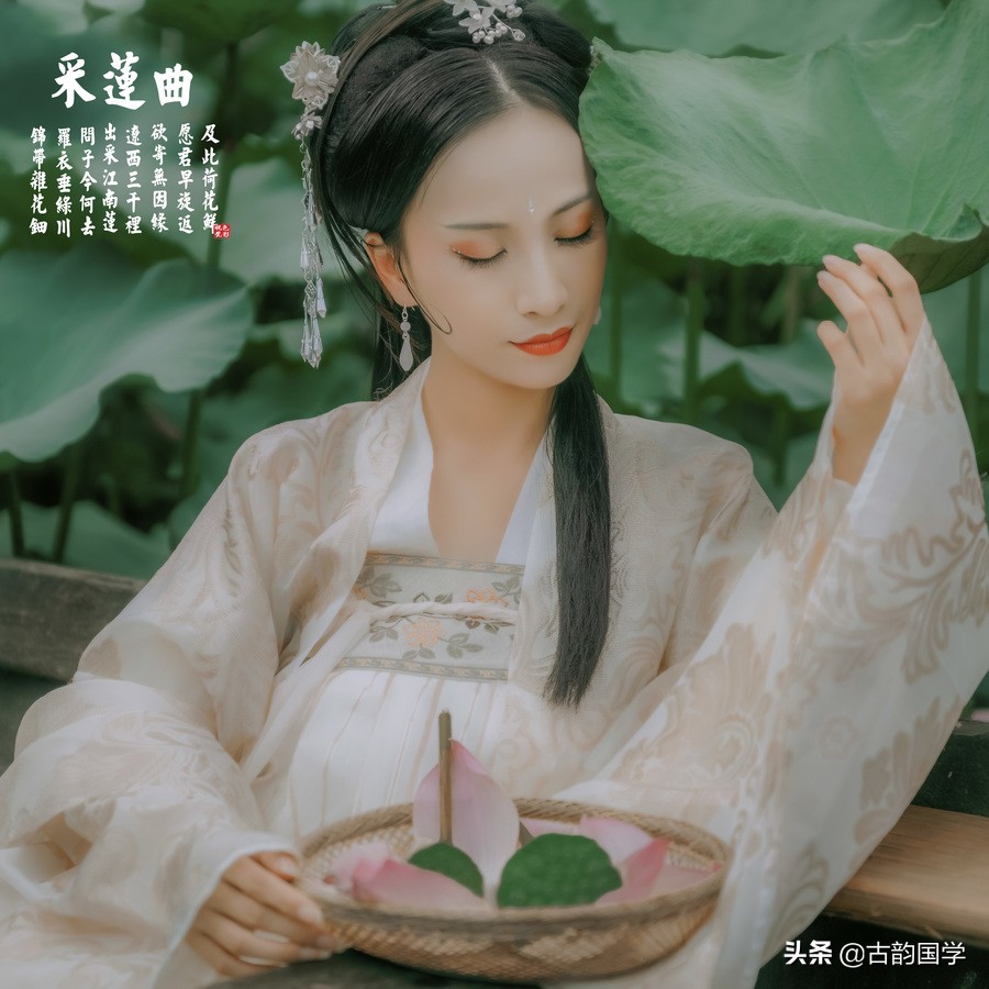 荷花诗经典100首,荷花诗词330首下篇