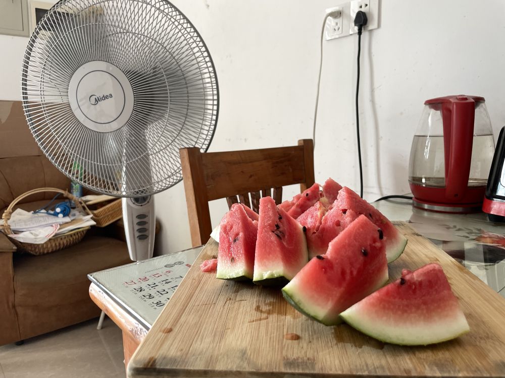 菜场女作家,菜市场摆摊的作家