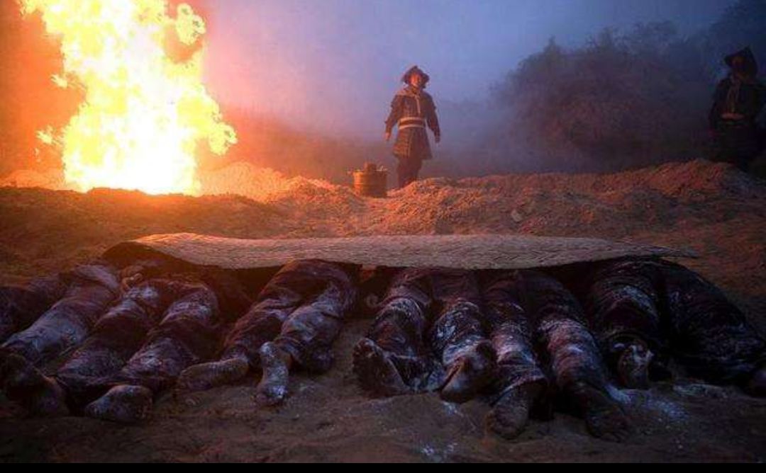 在中国古代是如何抗击疫情的,中国古代疫情应对的智慧和经验