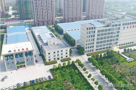 涓板ぇ闆嗗洟鏈夐檺鍏徃,涓板ぇ闆嗗洟