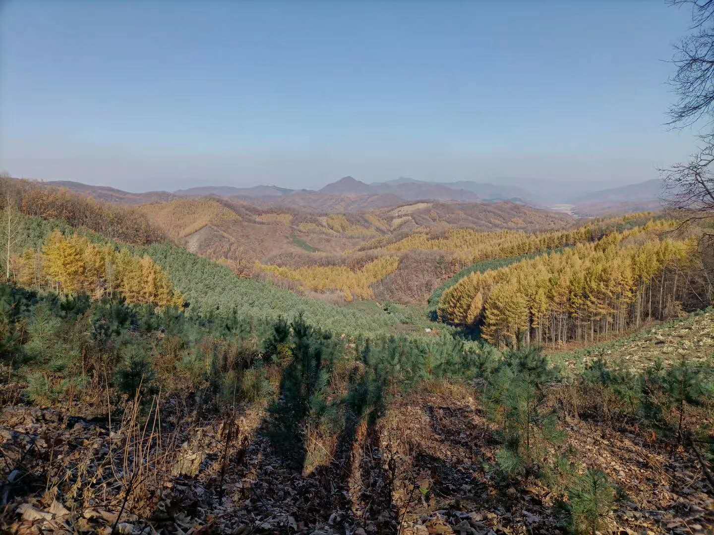 抚顺猴石国家森林公园,辽宁猴石国家森林公园在哪里