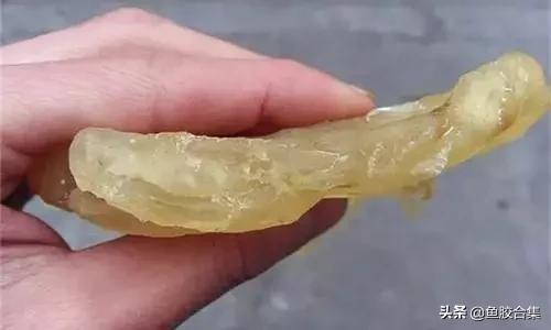 花胶一共有几种类型的品种,花胶种类中哪种最好