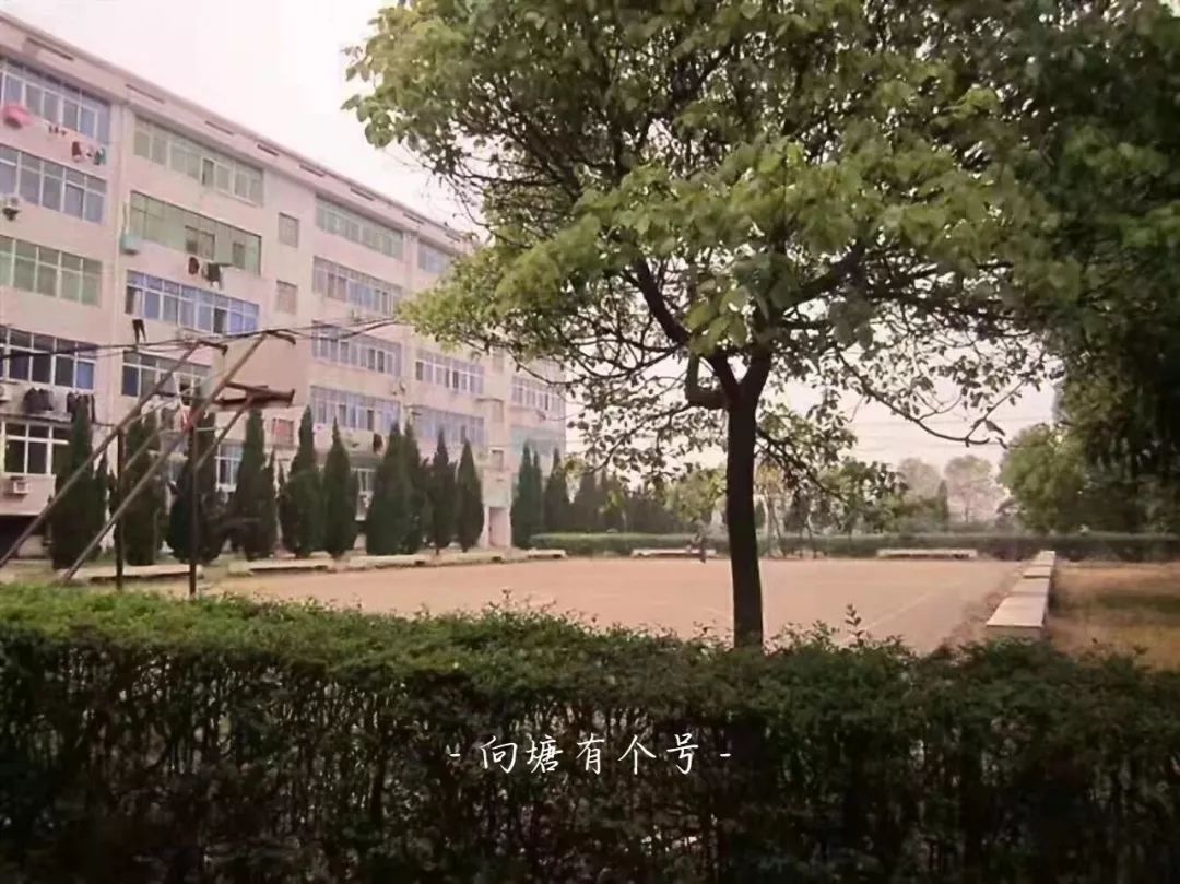 向塘好久不见,向塘中学