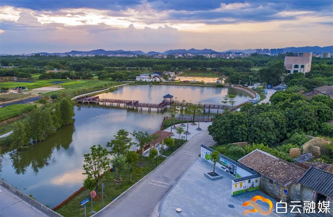 白云区好的初中排名榜,白云区成绩排名