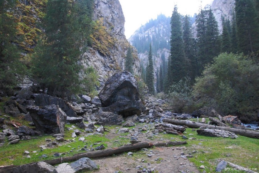 狼c调简谱教唱,狼c