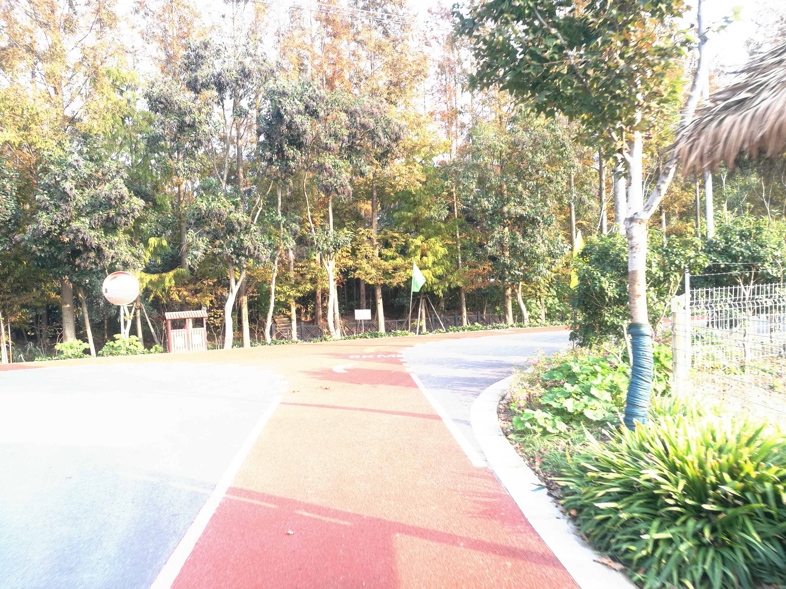 上海崇明岛郊野公园扩建工作,崇明长兴岛公园规划