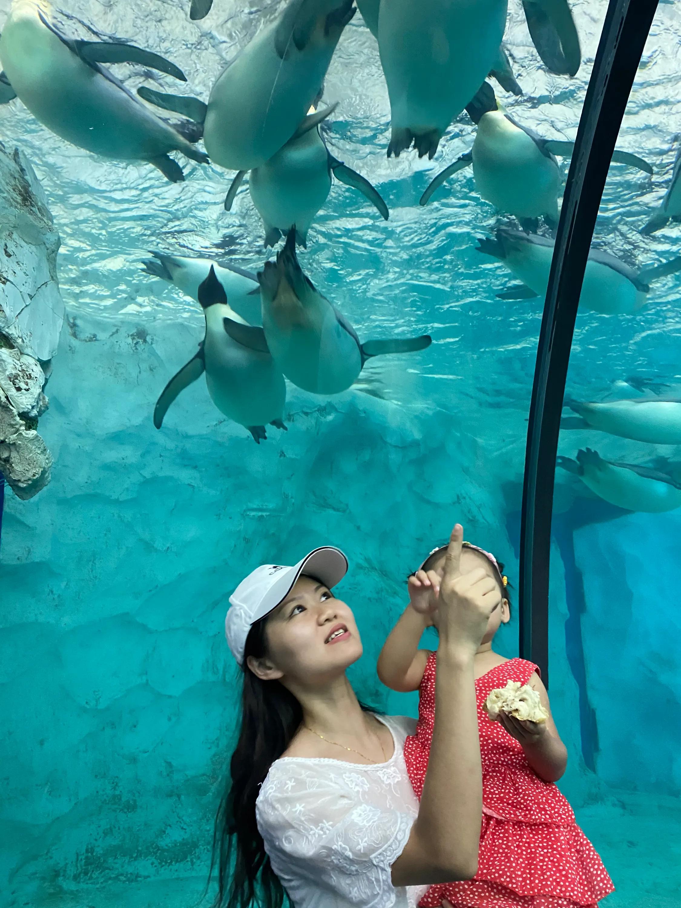 珠海长隆海洋王国攻略时间表,珠海长隆海洋王国攻略图