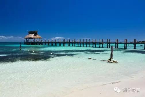 闻是悦读|自我观察--盲点