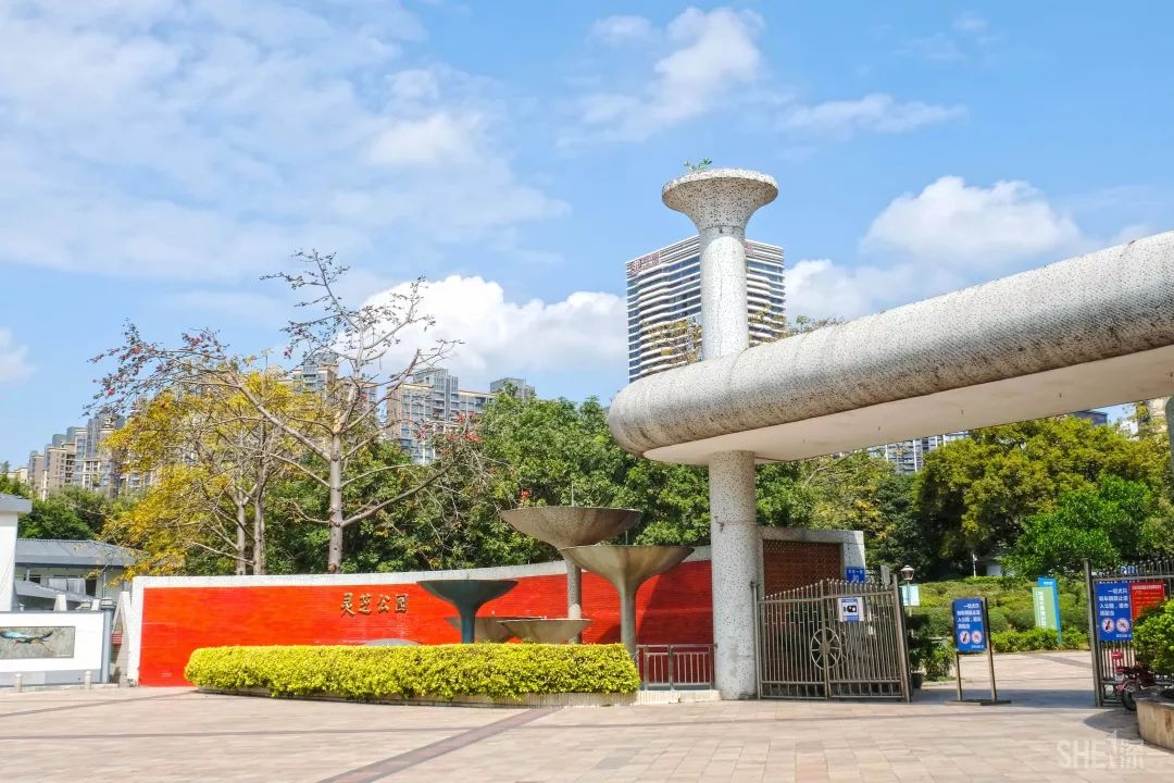 住在深圳宝安,住在宝安西乡