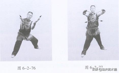 地术拳动作,地术拳实战技法