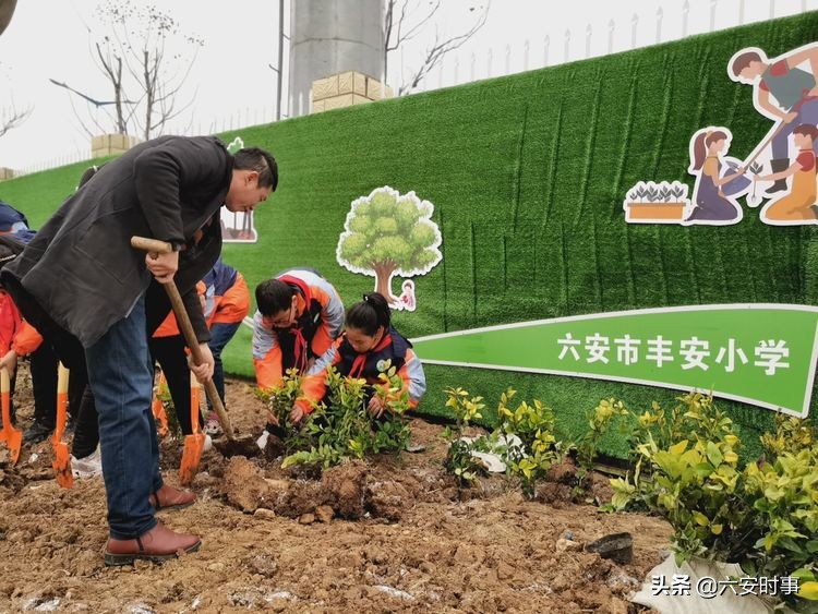 *光春**烂漫静待花开﻿——丰安小学3月活动纪实