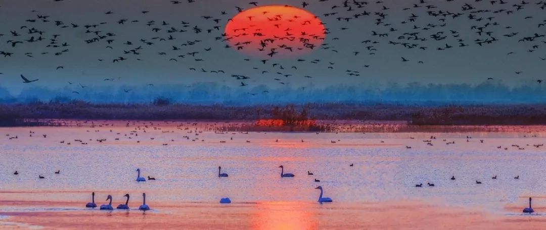 山东这两座小城，集齐了所有令人向往的美景，超级适合自驾！